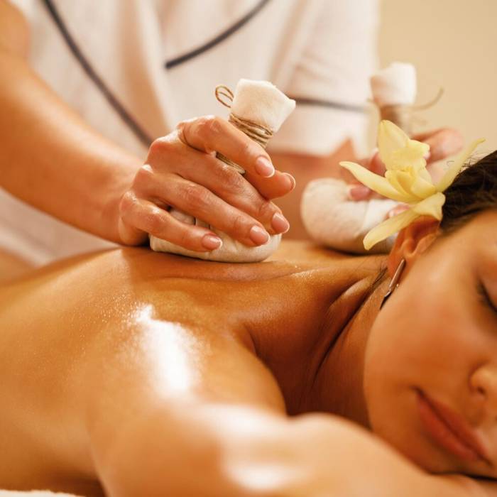 closeup-relaxed-woman-getting-back-massage-with-herbal-balls-health-spa_637285-2100
